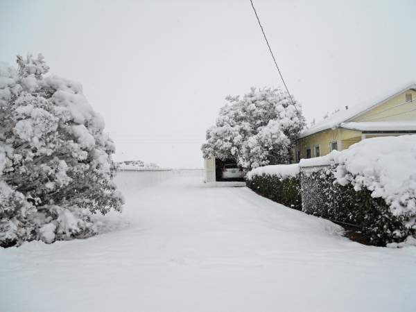 Snow Scenes With A House And Yard